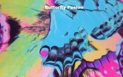 Poly/Spandex Venetta Fit Set - Jacket, Pants & Tank Top -Figure Skating Equipment Shop 10 85048 28583 77201.1548343808