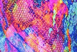 Poly/Spandex Venetta Fit Set - Jacket, Pants & Tank Top -Figure Skating Equipment Shop 12 28462 37886 51085.1548343808