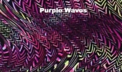 Poly/Spandex Venetta Fit Set - Jacket, Pants & Tank Top -Figure Skating Equipment Shop 13 57818 44760 74240.1548343808