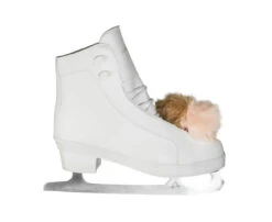 American Athletic -Pom Pom Figure Skates - Women's -Figure Skating Equipment Shop 2 27991.1676462244
