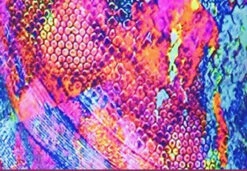 Polartec Venetta Scatter Skate - Neon Lights -Figure Skating Equipment Shop 5 21090.1545330907