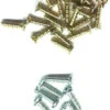 Edea Screws For Blade Assembly -Figure Skating Equipment Shop 61wJgiw5PJL. AC SL1001 70281.1592944959