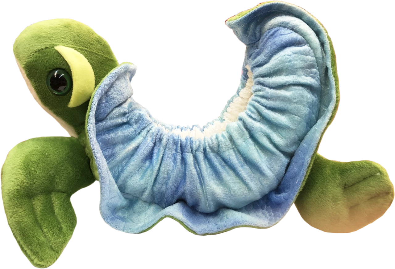 Ice Skating Soakers By Chloe Noel - Turtle 3 Ice Skating Soakers By Chloe Noel - Turtle